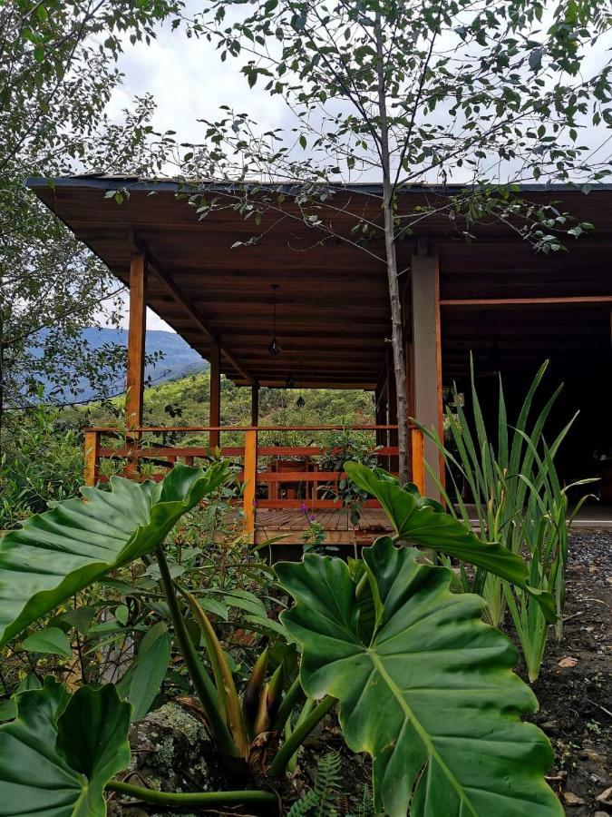 Goctamarca Lodge Cocachimba Dış mekan fotoğraf