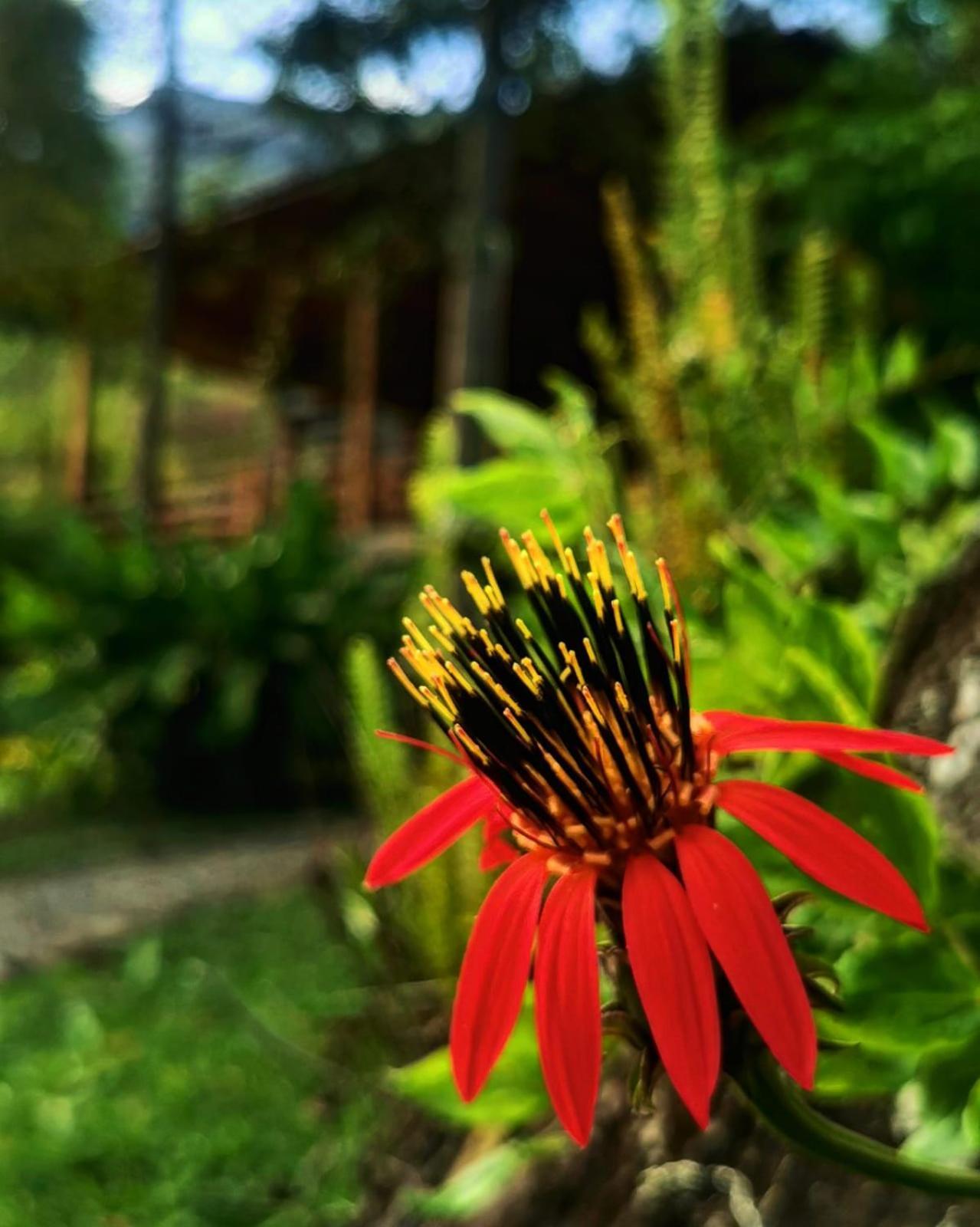 Goctamarca Lodge Cocachimba Dış mekan fotoğraf