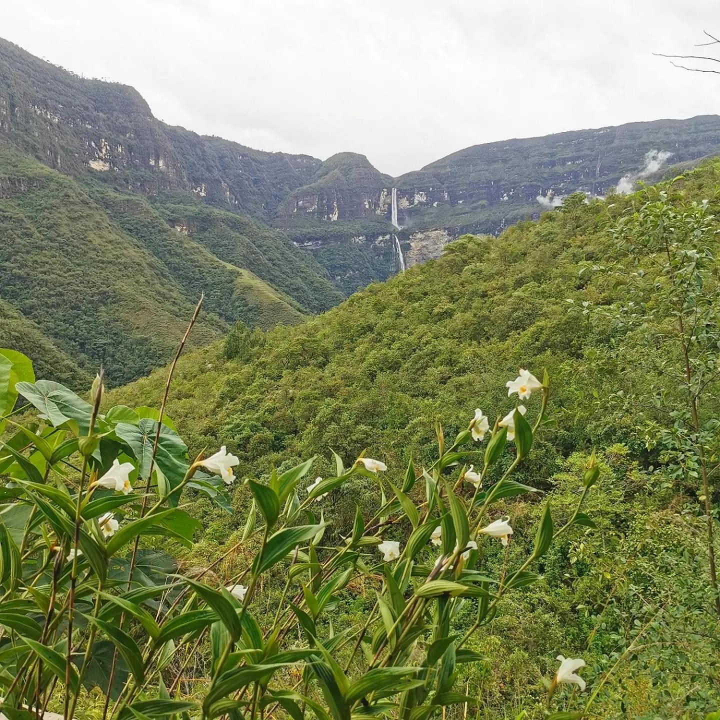Goctamarca Lodge Cocachimba Dış mekan fotoğraf